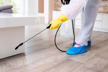 Ongediertebestrijding